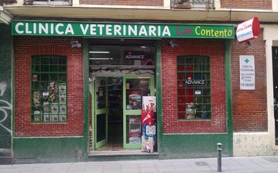 Can Contento: lo mejor para tu mascota!