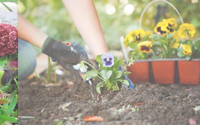 San Jorge: Arte y Jardinería