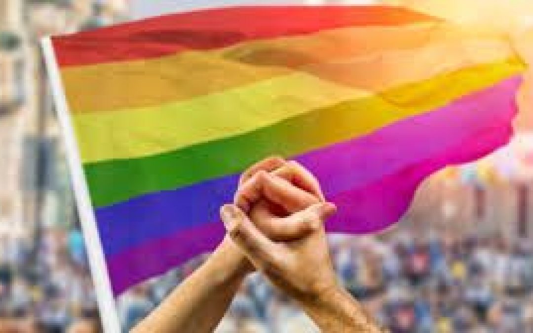 Fiesta del orgullo gay en tiempos de COVID
